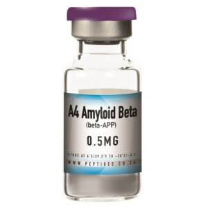 A4 Amyloid Beta