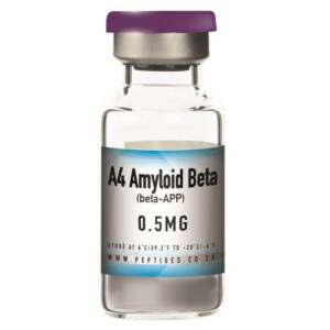 A4 Amyloid Beta